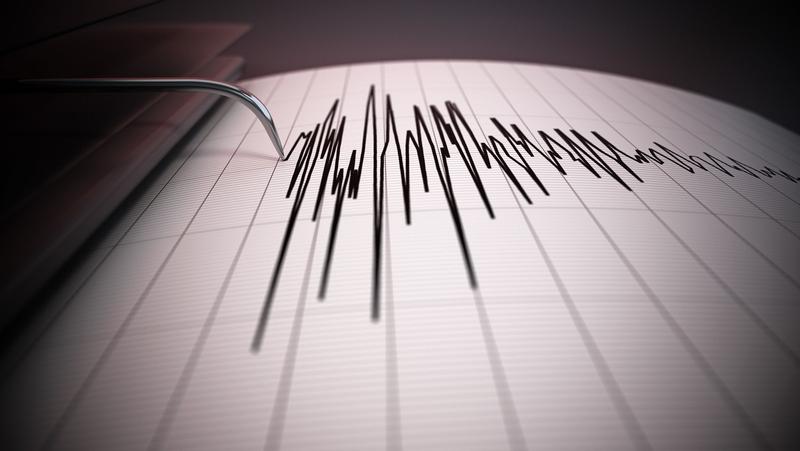 Cutremur în România noaptea trecută. Este al cicilea în ultimele 24 de ore. Ce magnitudine a avut? | Newsweek Romania