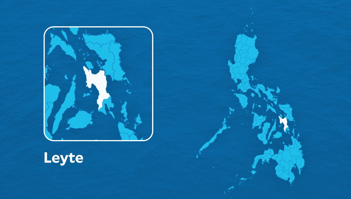 Two alleged NPA rebels died during Leyte clash | Inquirer News