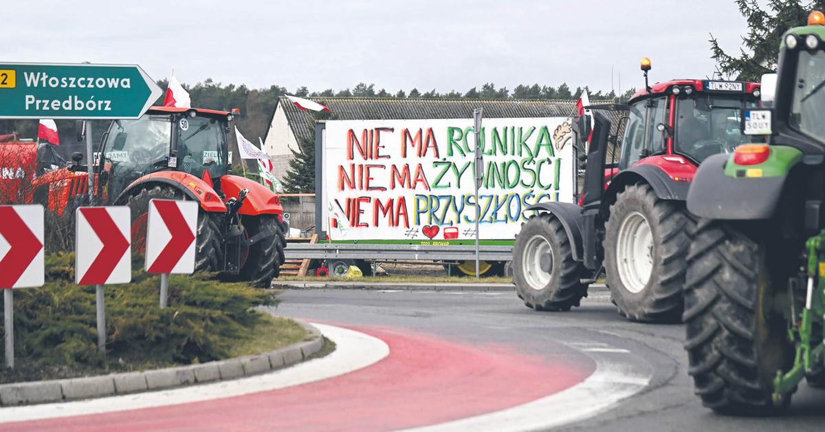 Afera zbożowa. Rząd nie potrafił zadbać o polskie sprawy