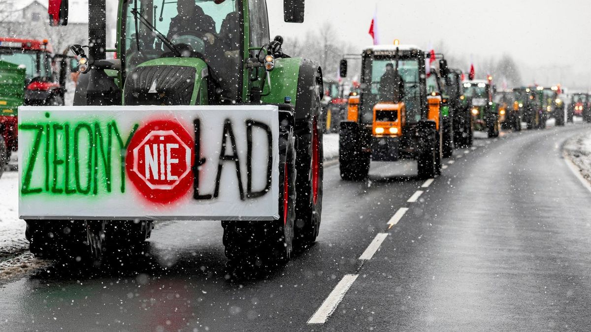 Dlaczego rolnicy sprzeciwiają się Europejskiemu Zielonemu Ładowi? "Zawiodła komunikacja"