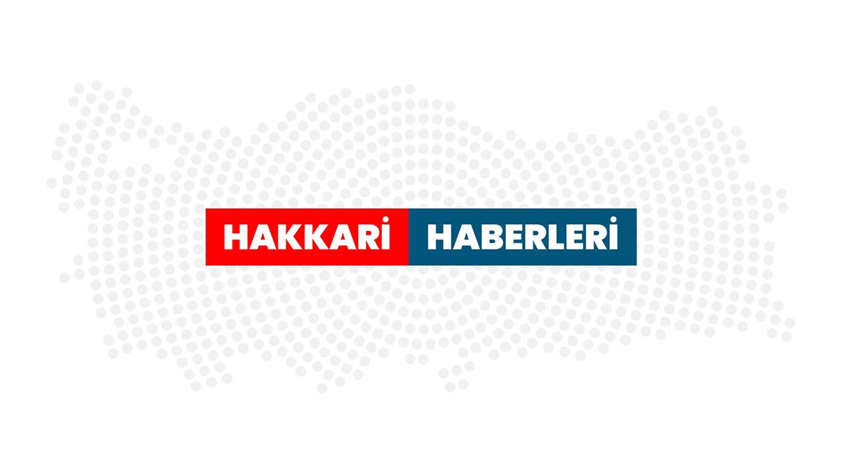 Hakkarili genç evinin ikinci katında istiridye mantarı üretim alanı oluşturdu - Hakkari Haberleri