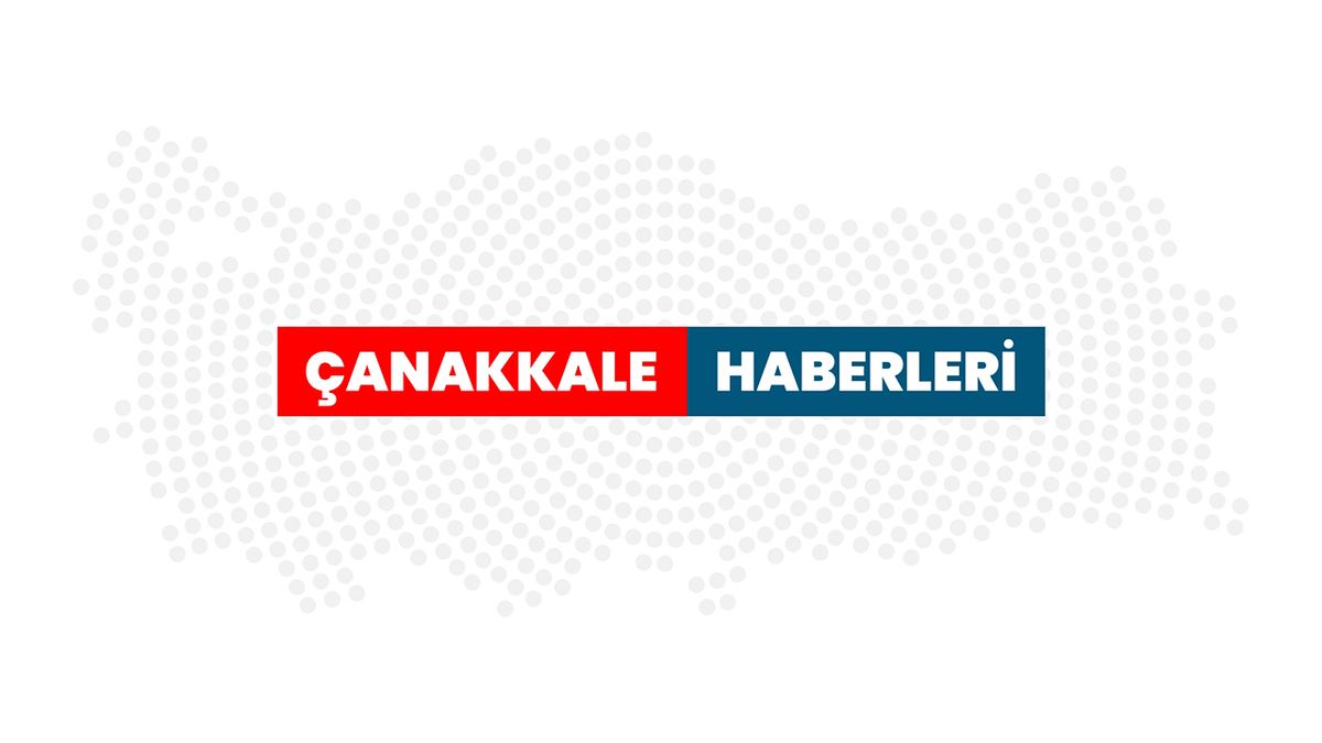 Norveç'te dalış yapan akademisyen deniz kestanelerinin yosun ormanlarındaki istilasını görüntüledi - Çanakkale Haberleri