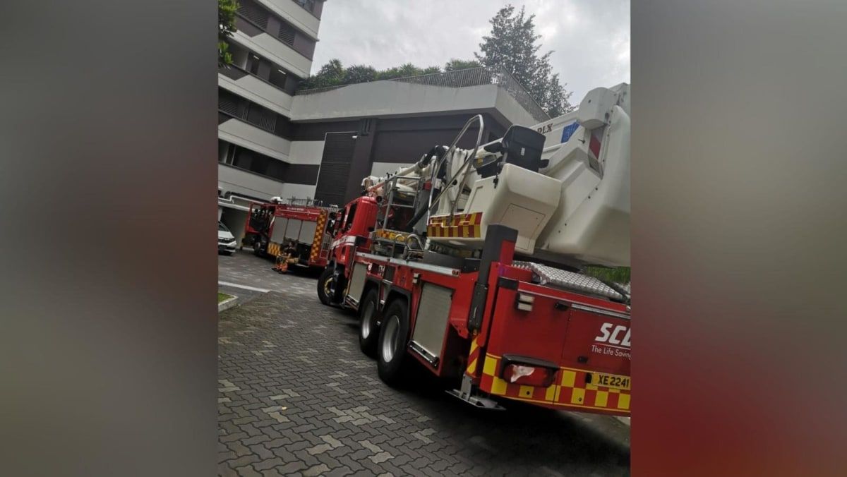 One dead in fire at Canberra Crescent flat, about 30 residents evacuated