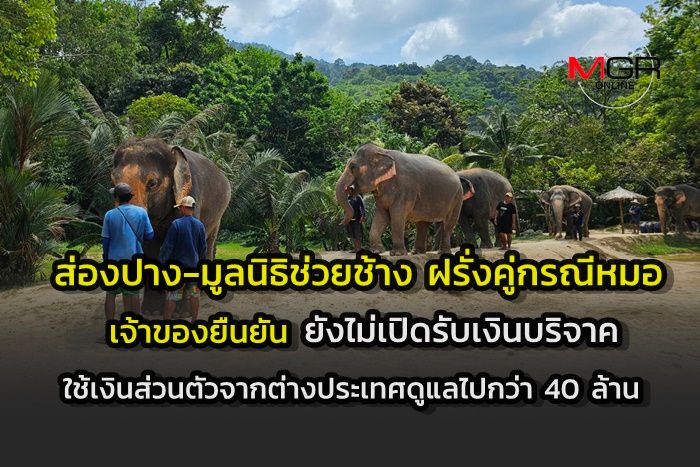 เปิดงบดุลปางช้างฝรั่งเตะหมอ ปี 65 รายได้ 46 ล้าน เมียฝรั่งโวช่วงโควิดสามีควักส่วนตัว 40 ล้านดูแลช้าง-คนงาน ยังไม่รับบริจาคแม้บาทเดียว