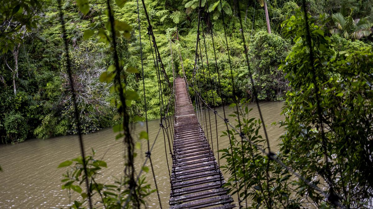 The Many Tourist Attractions of Adjuntas