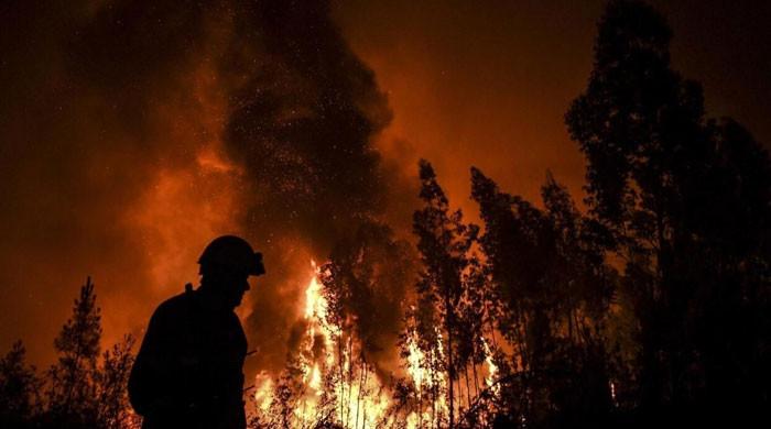 Efforts continue to contain forest fire on border of Barkhan, Kohlu