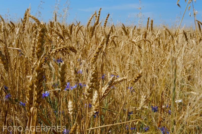 Premierul Ucrainei salută acordul interimar al UE privind importurile agricole