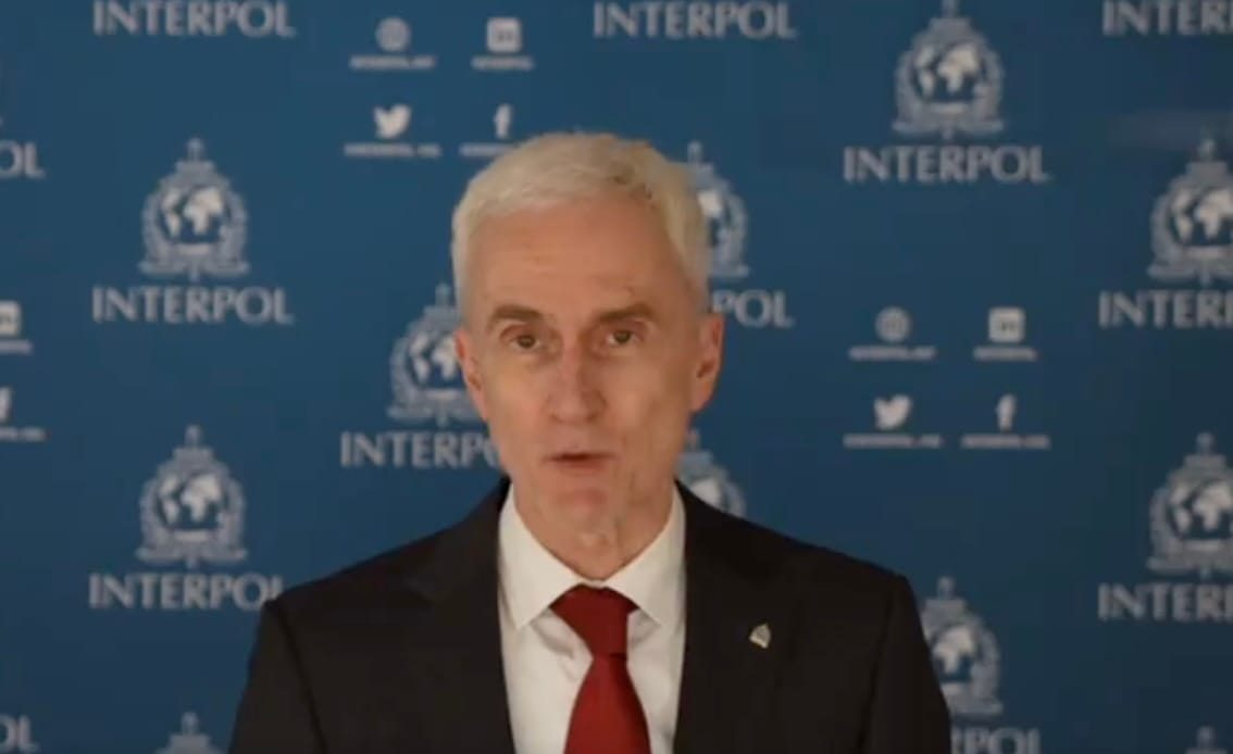 Interpol head praises SG's anti-scam efforts, says global crime rings now make US$3 trillion a year - Singapore News