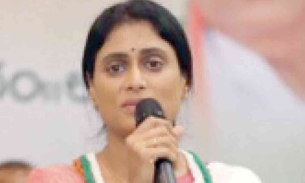 Sharmila to visit Kadapa today