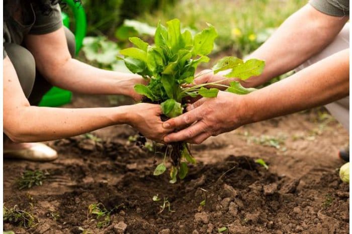 Mai muilţi fermieri au solicitat Capital Circulant Agricol