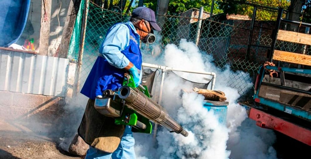 "Guerra" a zancudos inician las autoridades sanitarias - Diario La Tribuna