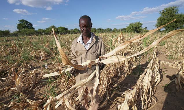 Rewind. Fast forward. African farmers are looking everywhere to...