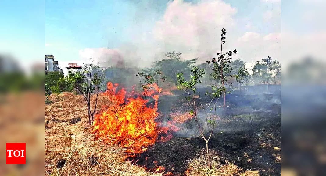 Troublemakers repeatedly damage & set fire to urban forest in Mohammadwadi | Pune News - Times of India