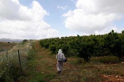 Israel deports a dozen Malawians sent to work on farms