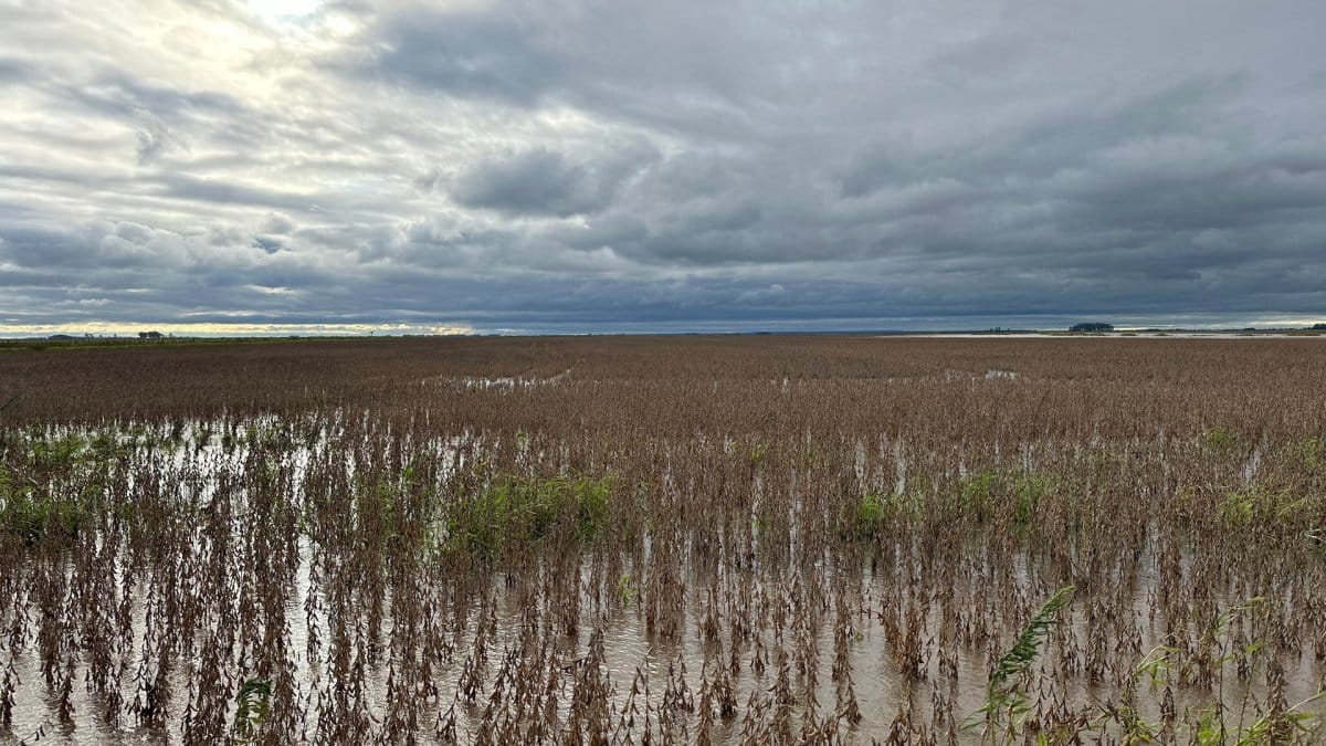 Uruguay: inundaciones dejan al menos 2,000 desplazados y plantaciones afectadas