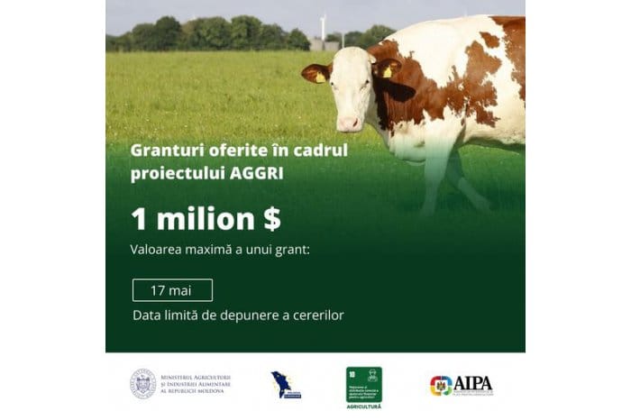 MAIA: 17 mai este ultima zi pentru solicitarea granturilor AGGRI destinate crescătorilor de bovine