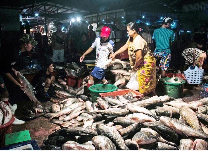 Myanmar aims to earn over US$800mil from aquatic exports