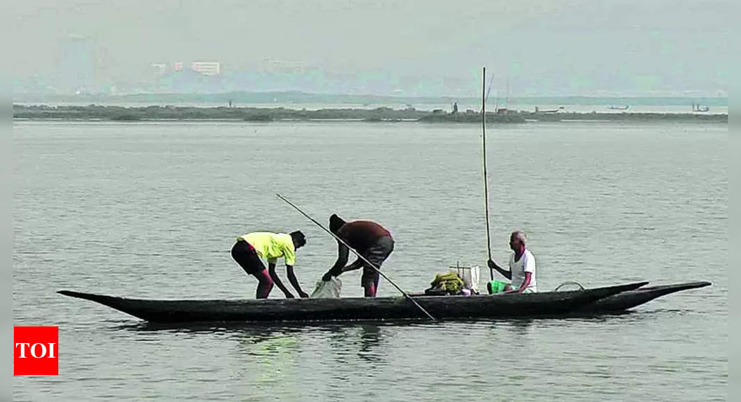 HC directs Assam government to submit affidavit on Deepor Beel limits by revenue department | Guwahati News - Times of India