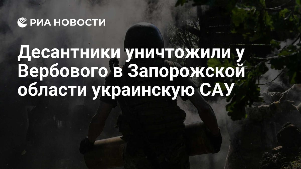 Десантники уничтожили у Вербового в Запорожской области украинскую САУ