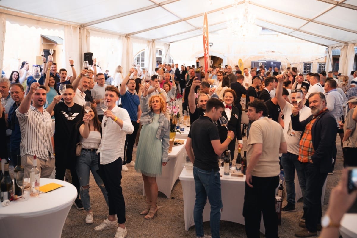 Pop Up Wine Festival Novo mesto: 60 vinarjev iz Slovenije in sveta na gradu Grm