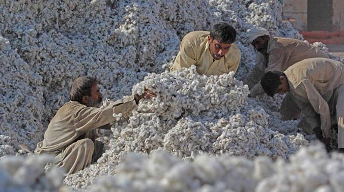 APTMA urges PM to expedite release of consignments of imported cotton