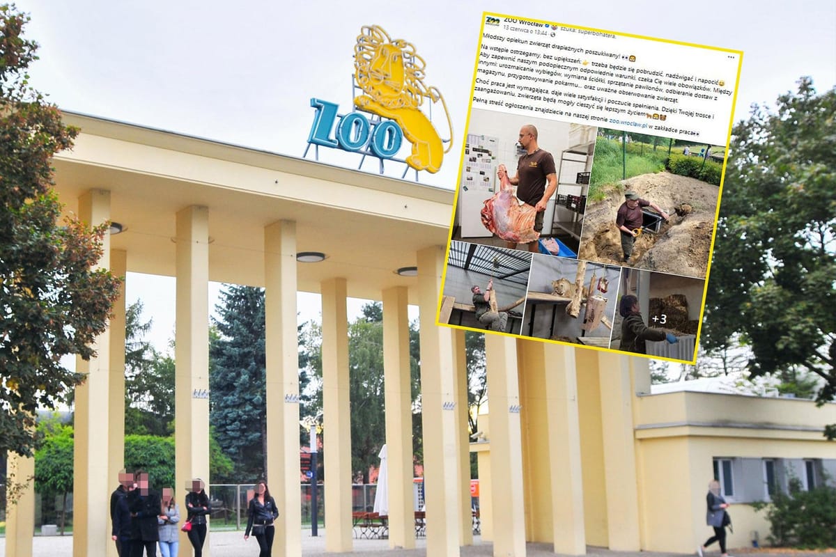 ZOO we Wrocławiu szuka nowego pracownika. Wymagania i obowiązki dla kandydata zaskakują