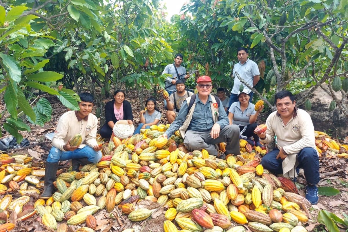 VRAEM: productores exportan 150 toneladas de cacao orgánico a...