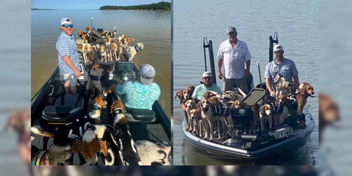 Fishing crew rescues 38 dogs treading water in lake