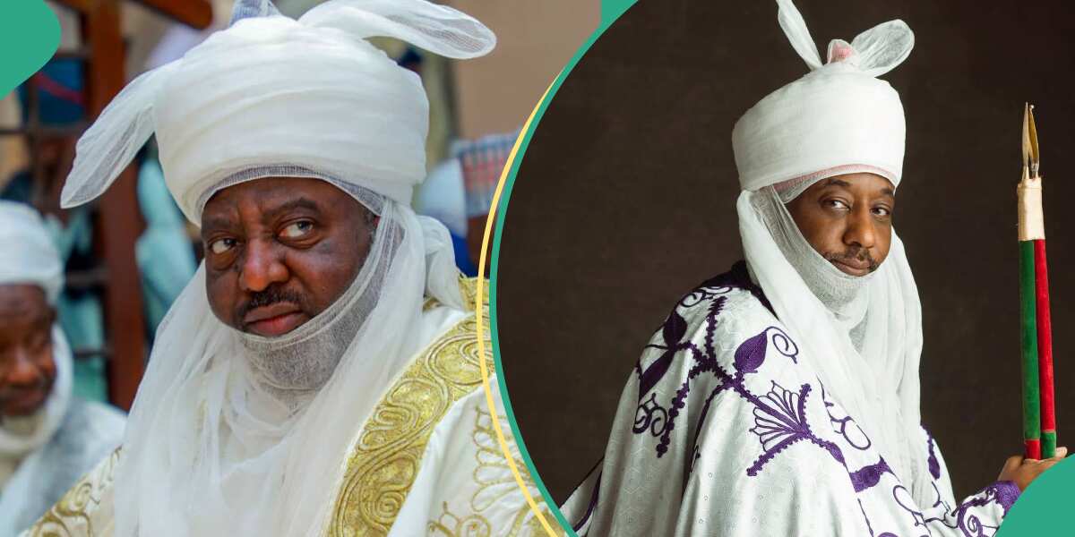 Emir Tussle: What Kano govt needs to do to defeat opponents, Don speaks out