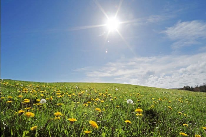 METEO // Vreme caniculară în weekend