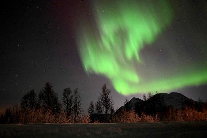 Bookings to view northern lights in 2024 up as stronger, more frequent displays expected