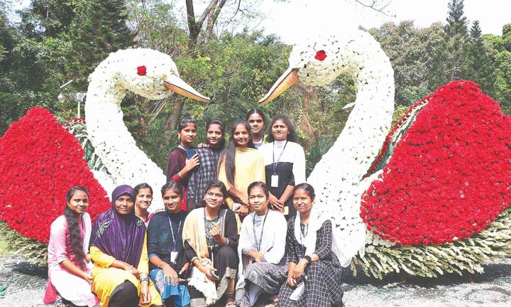 After 11 years, flower show back at agri varsity in Kovai