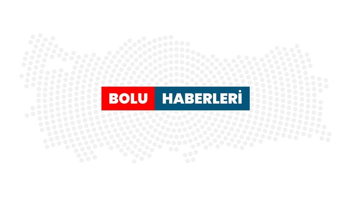 Seyahatsever üçüzler "dünyayı" geziyor - Bolu Haberleri