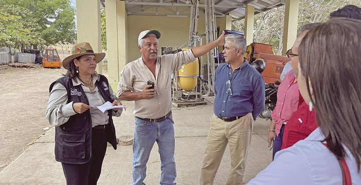 Reactivarán estación experimental "Las Acacias" para fortalecer sector agrícola en el valle de Jamastrán - Diario La Tribuna