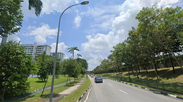 Decomposed body of 36-year-old man found hanging in Ang Mo Kio, hidden among trees