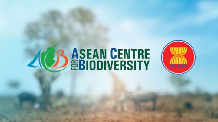 Nearly 700 new wildlife species found in Southeast Asia - ACB