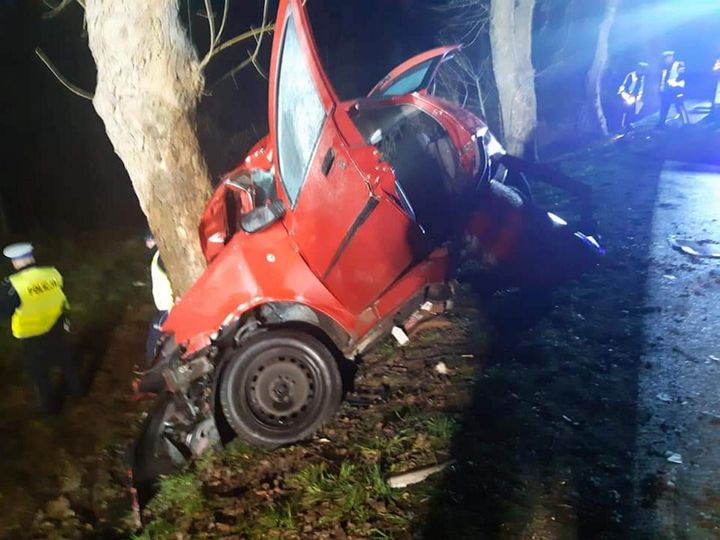 Auto z trzema mężczyznami rozbiło się na drzewie. Wcześniej kupili alkohol