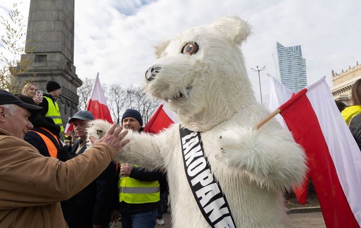 Walka z "białymi misiami" w Zakopanem. "Przebierańcy"