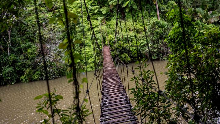 The Many Tourist Attractions of Adjuntas