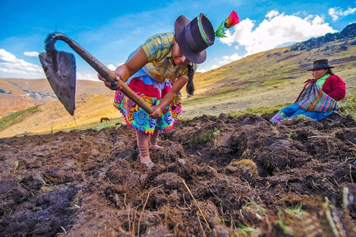 Agro Rural atendió a más de un millón de familias de pequeños...