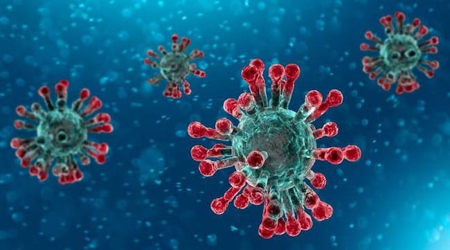 Coronavirus Marche, i dati del periodo 7-13 marzo 2024