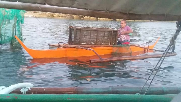 How a Leyte town has been protecting its danggit fish population