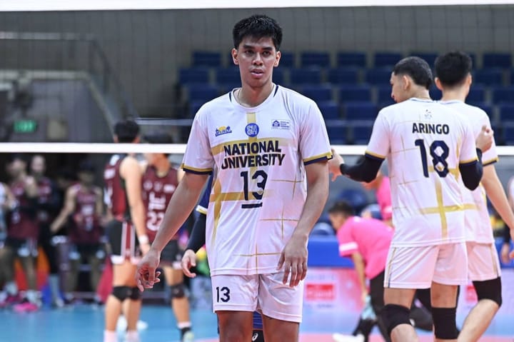 Alinsunurin, Retamar grateful for another shot at PH men's volleyball team