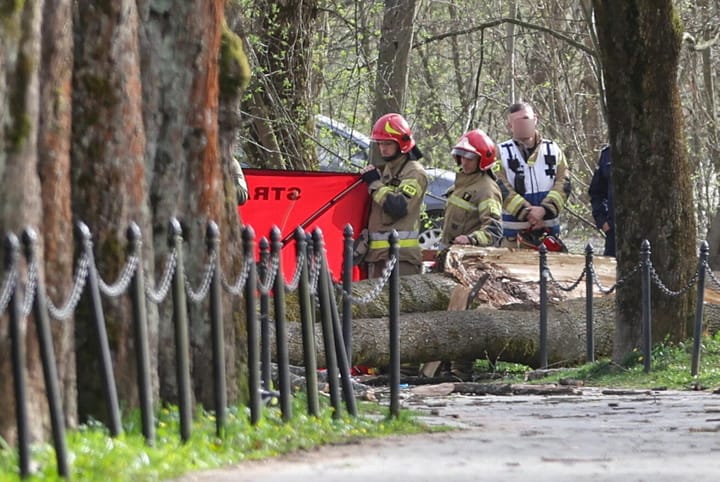 Drzewo zabiło dwie kobiety i dziecko. Wzruszające słowa burmistrza. Jest decyzja