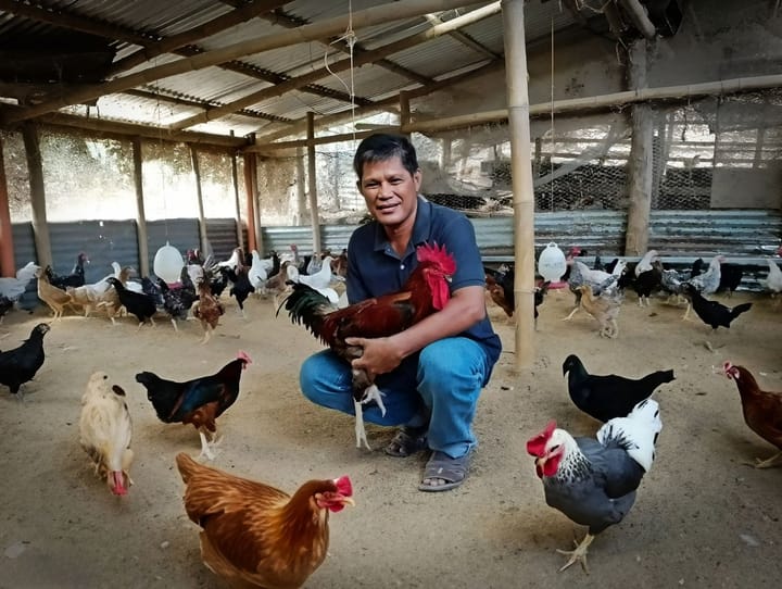 Retired cop pursues farming thru LANDBANK