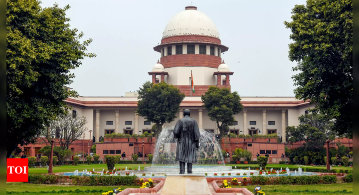 SC relief likely for C'garh ex-babu, son | India News - Times of India