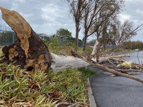 Western Cape authorities on high alert as extreme weather batters province