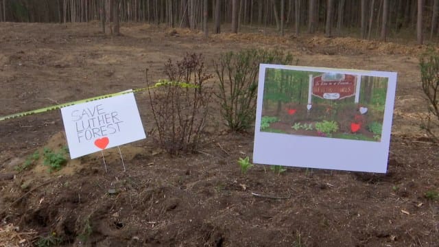 Luther Forest begins development and deforestation