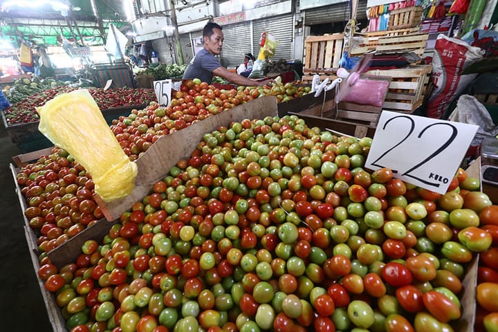 More support needed to boost growth of agri sector in Davao Region