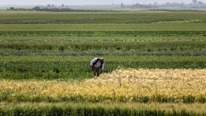 الجفاف في المغرب يضرب فرص العمل: فقدان 150 ألف وظيفة